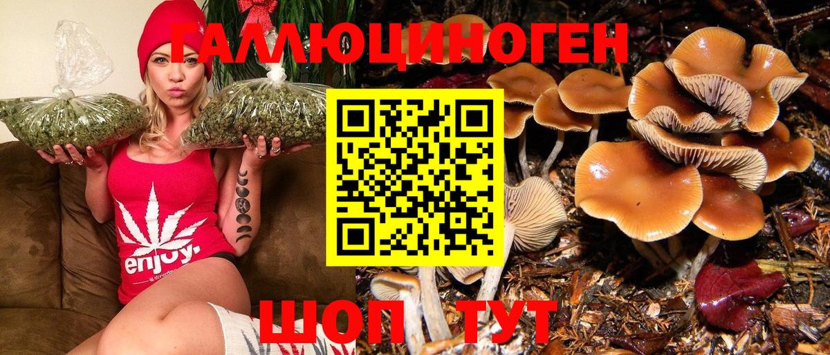 Псилоцибиновые грибы Magic Shrooms  Псилоцибиновые грибы Magic Shrooms  Вход с VPN  Сатка 